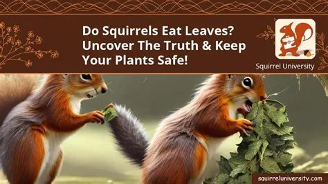 Do Squirrels Eat Leaves? (and Ways To Keep Your Plants Safe) - Squirrel ...