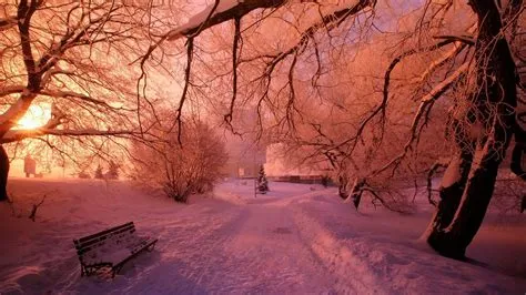 Pink Winter Desktop Wallpapers - Top Free Pink Winter Desktop ...
