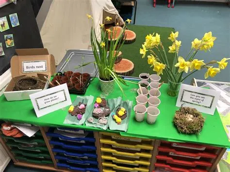 Spring Interest Table for EYFS