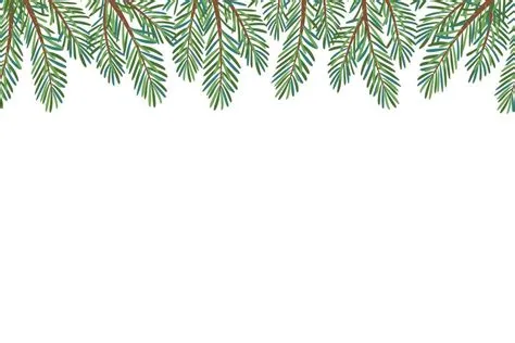 Pine Border Vector Art, Icons, and Graphics for Free Download