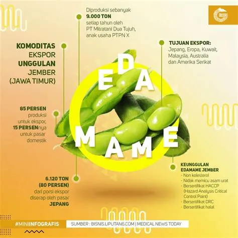 Travel Surabaya Jember Murah & Terbaik 2019 - MitaTRAVEL