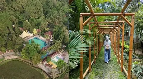 Rekreasi dan Edukasi, Taman Botani Sukorambi di Jember: Fasilitas ...