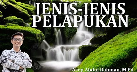JENIS-JENIS PELAPUKAN