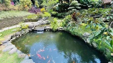 Keseruan di Taman Botani Sukorambi Jember - Info Area