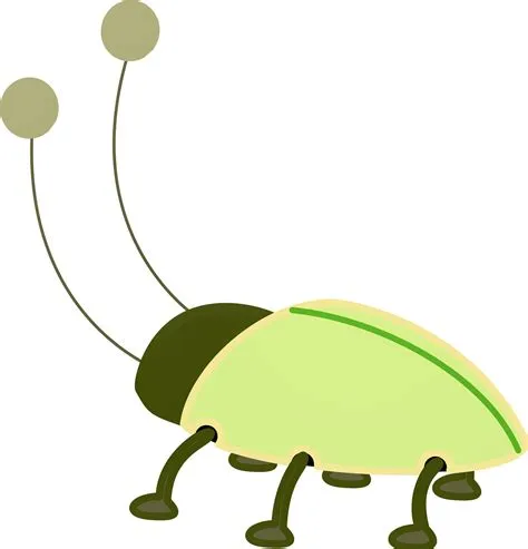 Bug Clip Art