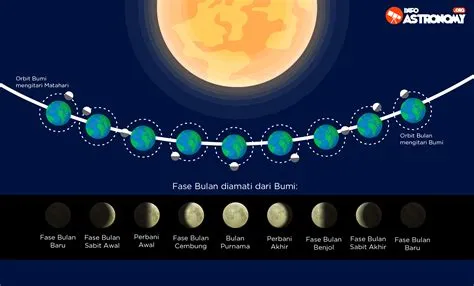 Fase Bulan dan Penanggalan Hijriah - Info Astronomy