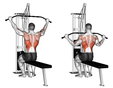 Close Grip Lat Pulldown vs Wide Grip: Equipment, Mechanics, and More ...