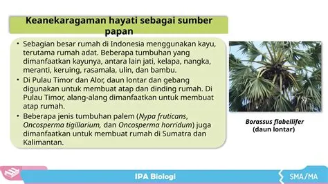 PPT BIOLOGI - KEANEKARAGAMAN HAYATI.pptx