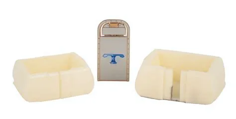 New Tomorrowland Pin Prototype and PeopleMover Models.