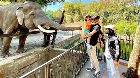 Harga Tiket Masuk Jatim Park 2 Batu Jawa Timur Terbaru 2025 - Tribun Travel