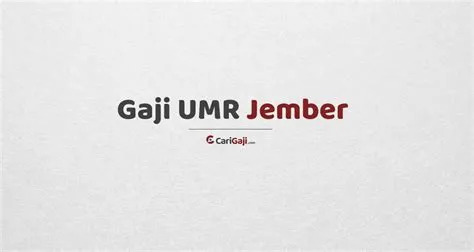 Gaji UMR Jember dan Gaji UMK Jember 2024 Tervalid