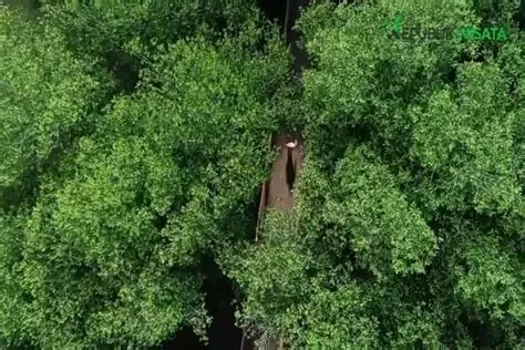 Healing di Jawa Barat 7 Destinasi Wisata Populer di Indramayu Tahun ...