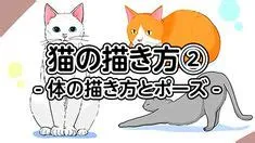 by Sofia Martinez on Fun with cat wallpaper awesome 😻🐈⬛🐈🐾🐾 ...