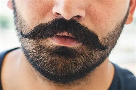 Top 15 Stubble Beard Styles for Men: How to Guide + Examples | The ...