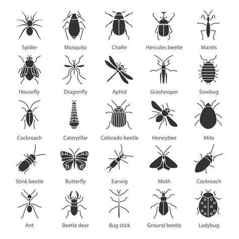 Insect Bug Icons Stock Vector Image by ©prosymbols #215714602