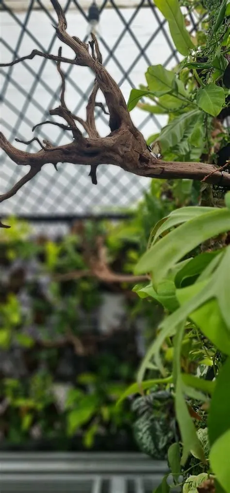 de Respati Unggul em Homes