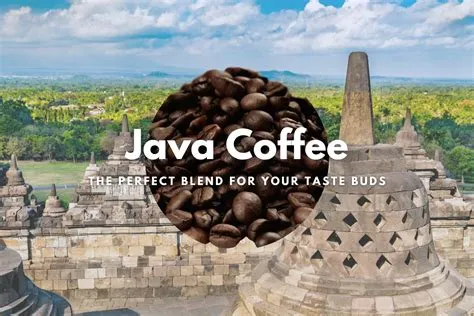 What Does Java Coffee Mean at Lola Goll blog