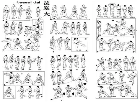 Shorin Ryu Kata Diagrams | Kata Diagrams | Shotokan karate, Karate ...