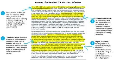 Reflection Guidelines | CTLGrads TDP