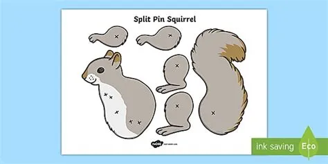 Squirrel Split Pin Activity