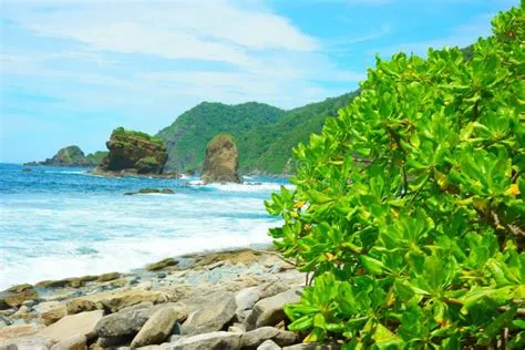 Beautiful Papuma Beach in Jemnber Stock Photo - Image of landscape ...
