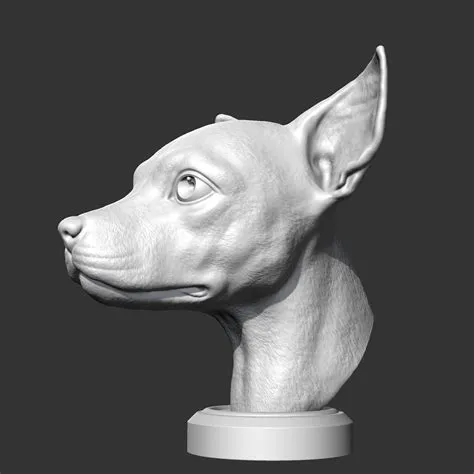 🐕 Miniature Pinscher Head AM37 3D print model・ STL File for 3D printing ...