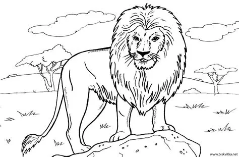 Risunki Za Ocvetqvane