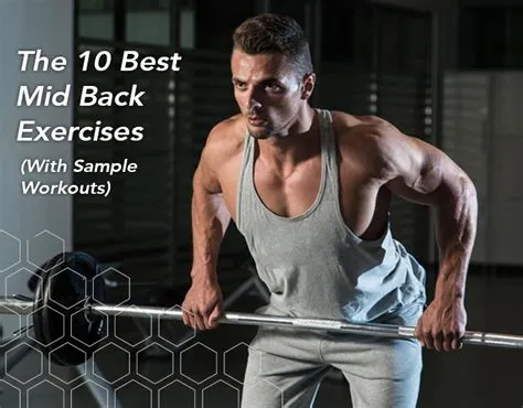 The 10 BEST Mid Back Exercises (With Sample Workouts) – Fitbod