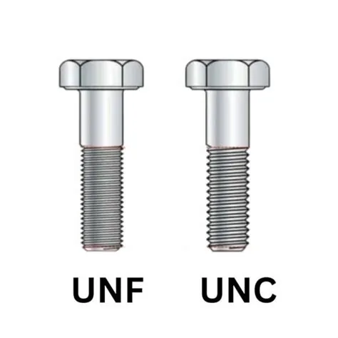 UNF vs UNJF Thread: What You Need to Know