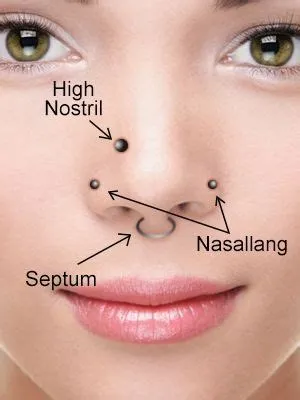 Nose Pins & Rings | Ishita (IFG) | Pinterest | Different types ...