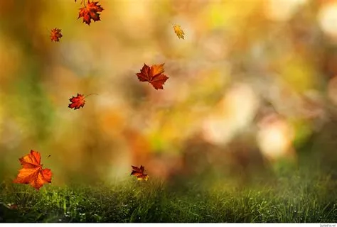 September Nature Wallpaper