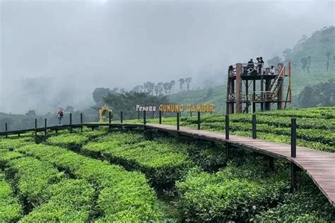 Wisata Tak Terlupakan di Jember, Ada 40 Destinasi Lokasi Plesiran yang ...