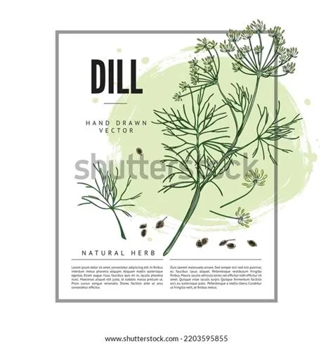 Banner Template Frame Hand Drawn Colorful Stock Vector (Royalty Free ...