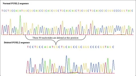 DNA sequencing results — Science Learning Hub