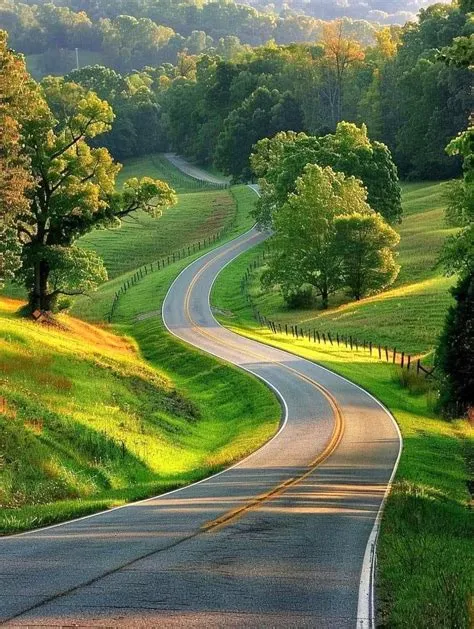 by Joel Walker on Great Scenes in 2025 | Nature photography ...