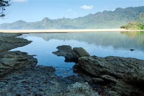 Jember Bilder – Durchsuchen 953 Archivfotos, Vektorgrafiken und Videos ...