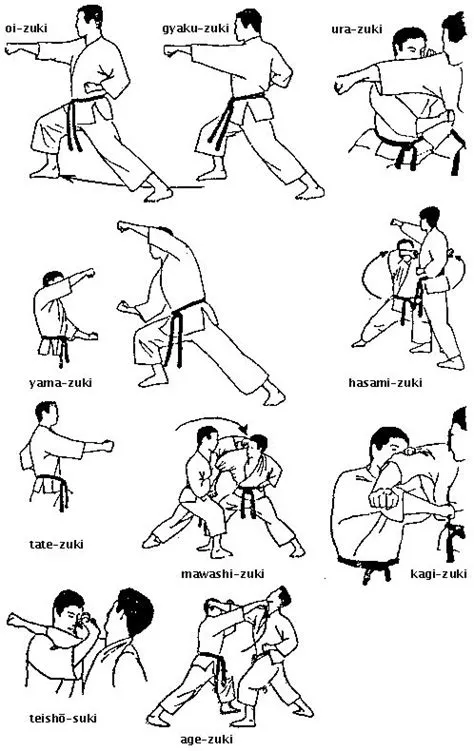 45 best karate basics images on Pinterest | Marshal arts, Combat sport ...