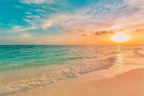 Sea ocean beach sunset sunrise landscape outdoor. Water wave with white ...