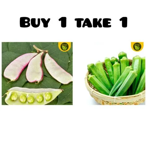 Buy 1 Take 1 High Quality Vegetable Seeds ( 3seeds Bataw, 20seeds Okra ...