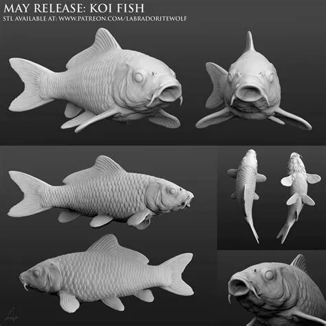 Koi Fish | Koi fish, Fish sculpture, Fish model