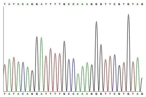 Sequencing DNA — Science Learning Hub