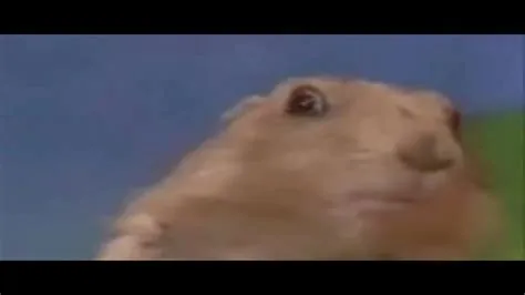 Dramatic Chipmunk - YouTube