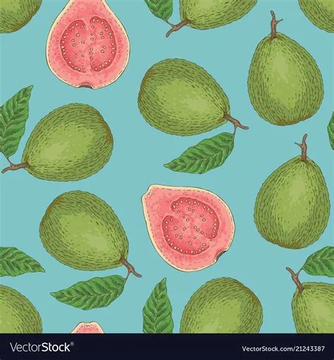 Seamless Vector Pattern with Ripe Guava Whole and Cross Section on a ...