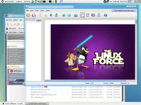 Foxit Reader | :.Pin_Gato.:
