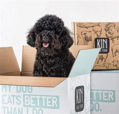 de Julia Petrova en Flayer | Arte