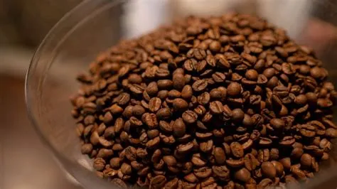 7 Java Coffee Benefits That You Need To Know