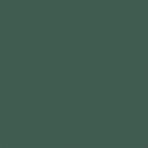 Solid Dark Green Background