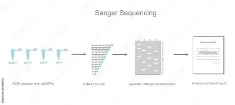 The Sanger Sequencing workflow of DNA sequencing detection that ...