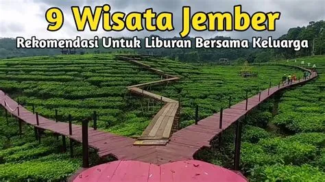 9 Tempat WISATA DI JEMBER Terbaru, Murah dan Populer, rekomendasi untuk ...