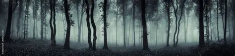 dark forest panorama fantasy landscape Stock Photo | Adobe Stock